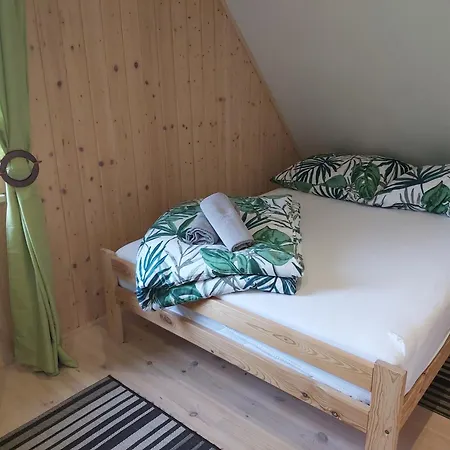 Lesna Kaszuby Holiday home *