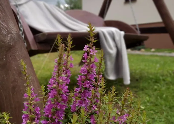 Leśna Kaszuby * Sulęczyno