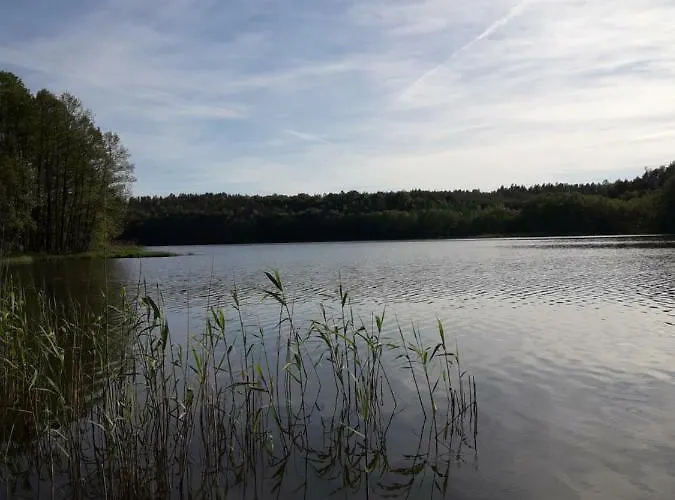 Leśna Kaszuby Dom wakacyjny